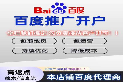 百度运营推广全攻略：成功案例深度剖析